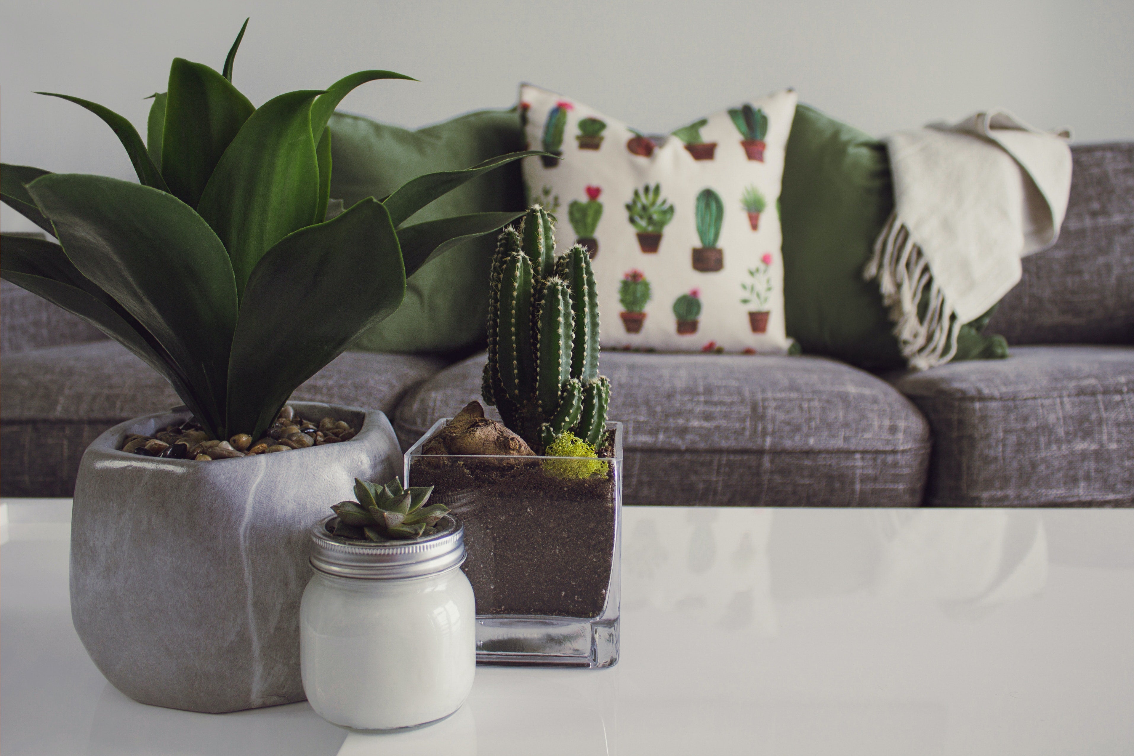 Home decor