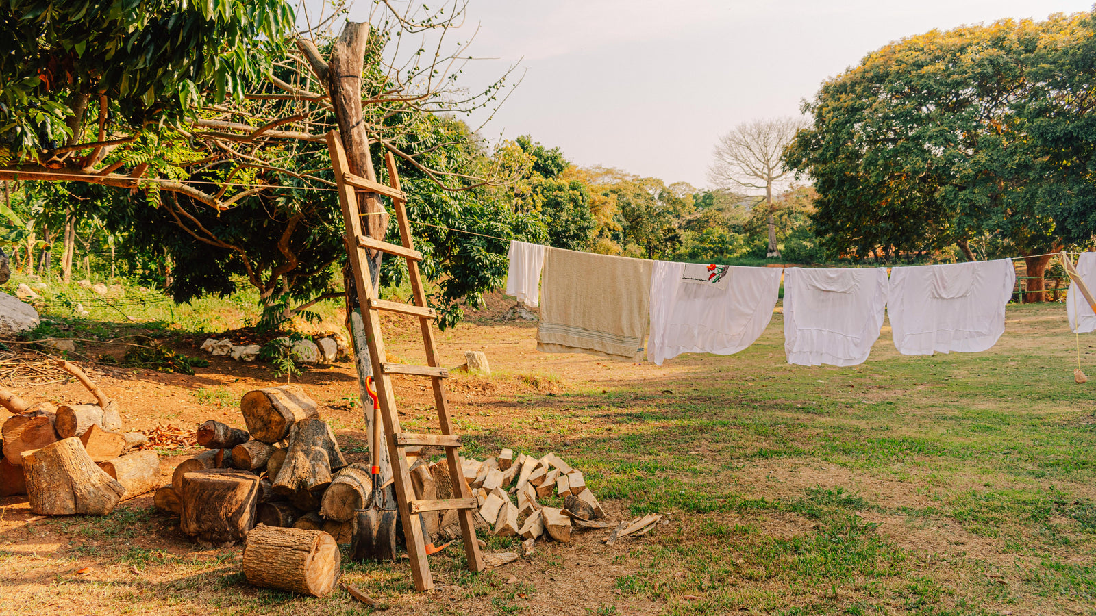Statistics on Consumer Preferences and Environmental Impact in the Fashion Industry